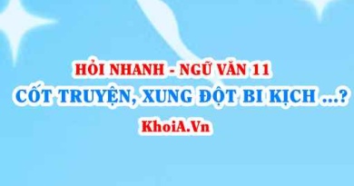 Cốt truyện bi kịch, Xung đột bi kịch, Nhân vật chính của bi kịch? Ngữ Văn lớp 11